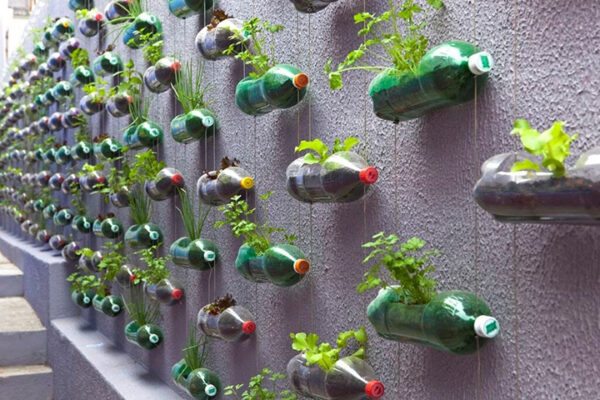 A Complete Guide to make Vertical Gardening 