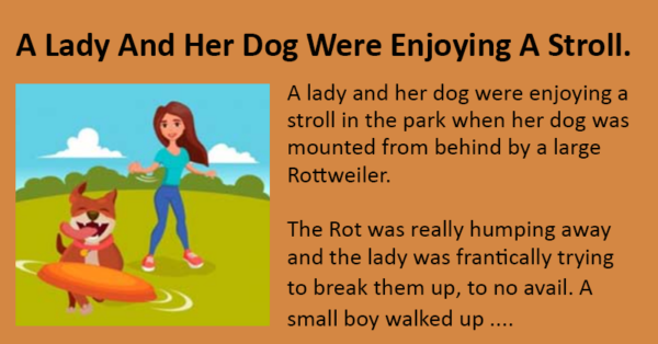 A Lady And Her Dog Were Enjoying A Stroll