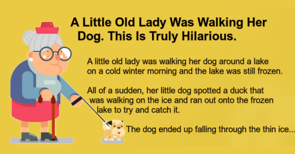 A Little Old Lady Was Walking Her Dog