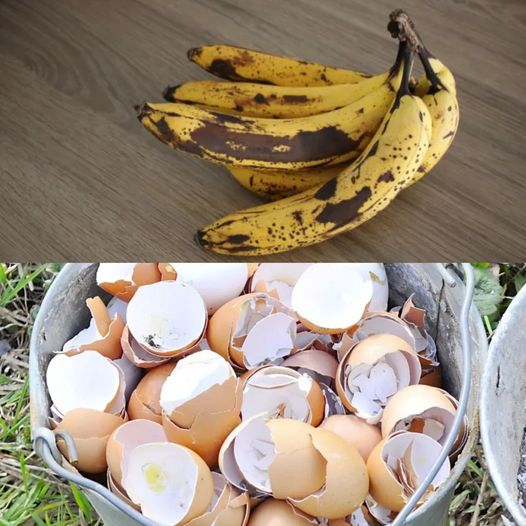 A Natural Recipe for Easing Knee and Bone Pain