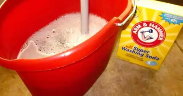 A Powerful DIY All-Purpose Cleaner for Sparkling Clean Surfaces