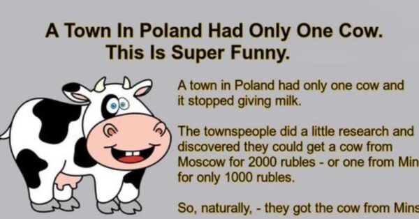 A Town In Poland Had Only One Cow.