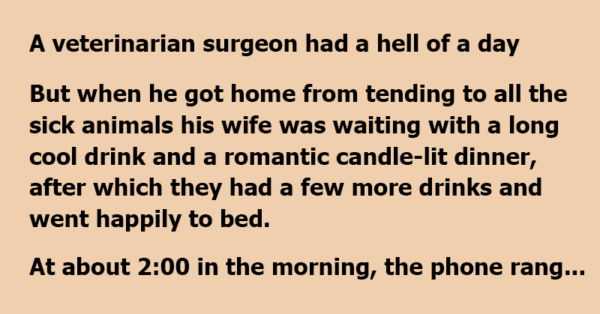 A Veterinarian Surgeon Had A Hell Of A Day