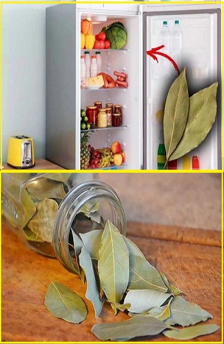 A bay leaf in the refrigerator? My grandmother always did it. Here’s why and how.