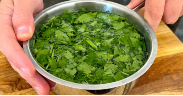 A drink made from parsley. Excellent natural tea make you surprise