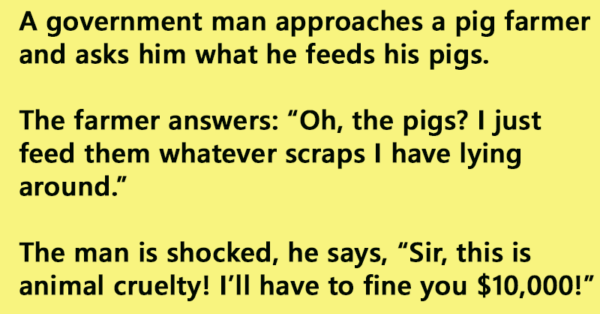 A government man approaches a pig farmer