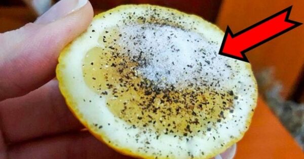 A lemon, salt and pepper are all you need to solve these 8 problems