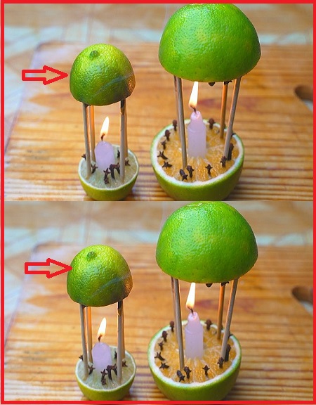 A remedy that will make your home perfume and at the same time give you permanent protection from mosquitoes