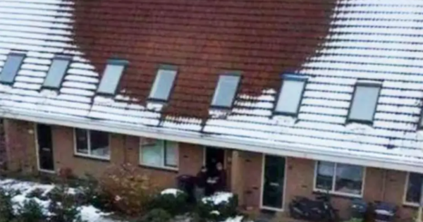 After noticing something very strange at the house of their next-door neighbors, many people in a small Dutch village called the police.