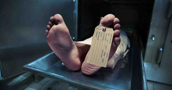 Akıl çelen o paketlerin ardından bu gerçek çıktı! Dünyanın en kanlı savaşında ölen kişi sayısıyla aynı…