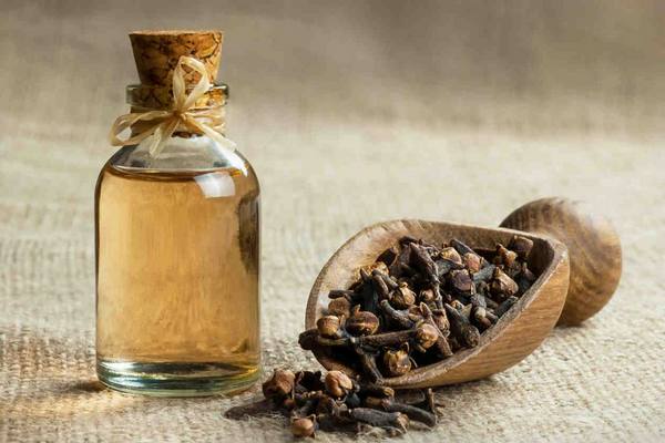 All Women Should Know These 7 Clove Tips