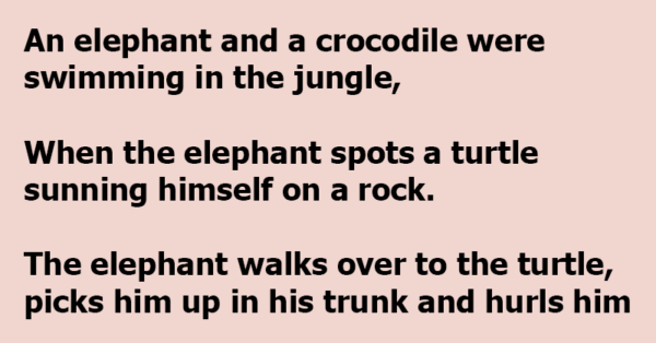 An Elephant And A Crocodile Were Swimming When A Turtle Appeared