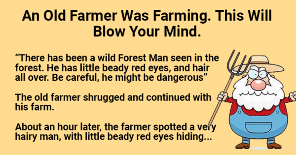 An Old Farmer Was Farming.