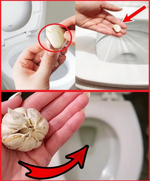 Before you go to bed, put garlic in your toilet, you’ll thank me later