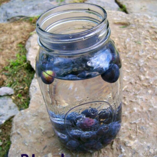 Blueberry water recipe: very simple and refreshing!