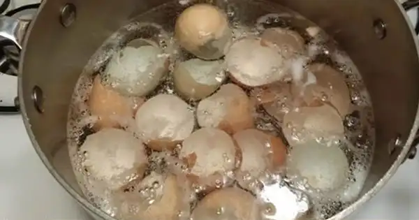 Boiling Eggshells in a Pot Will Save You a Lot of Money