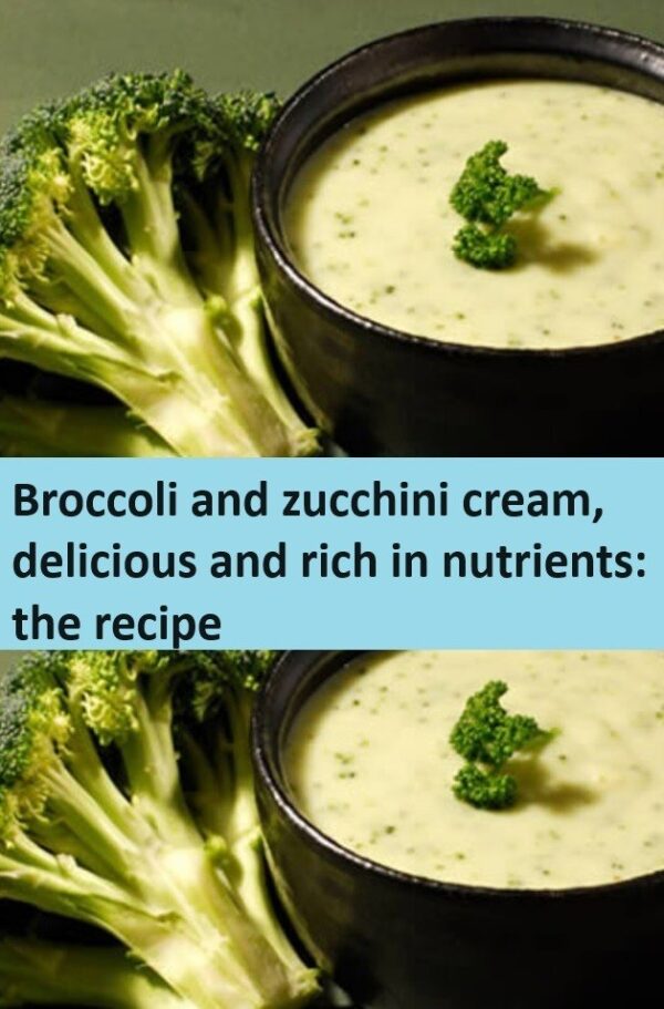 Broccoli and zucchini cream, delicious and rich in nutrients: the recipe