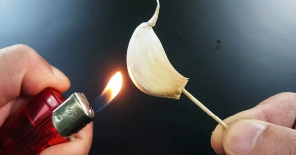 Burn a Garlic Clove for 15 Minutes. What Happens to Your Home Will Surprise You