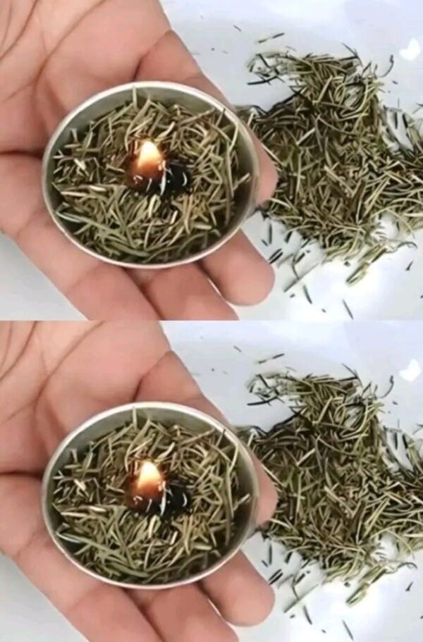 Burn rosemary at home, surprising what happens a few minutes later