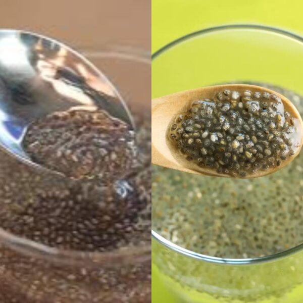 Chia Seeds: Tiny Powerhouses of Nutrition and How to Enjoy Them