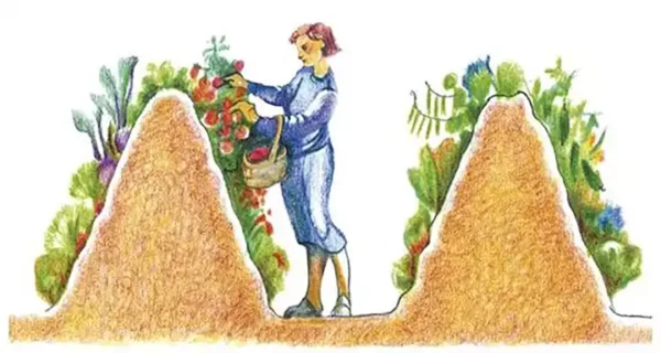 Creating Steep Hugel Beds: A Guide to Increased Garden Efficiency