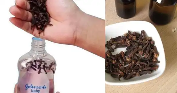 DIY Baby Oil and Cloves Mosquito Repellent: A Natural Solution