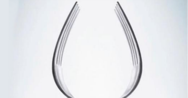 Discover Your Personality with an Optical Illusion!