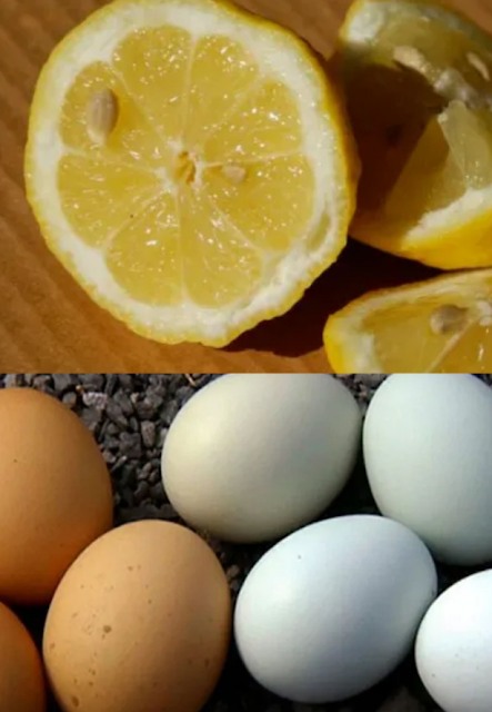 Discover the Golden Secret: A Lemon and Egg Recipe