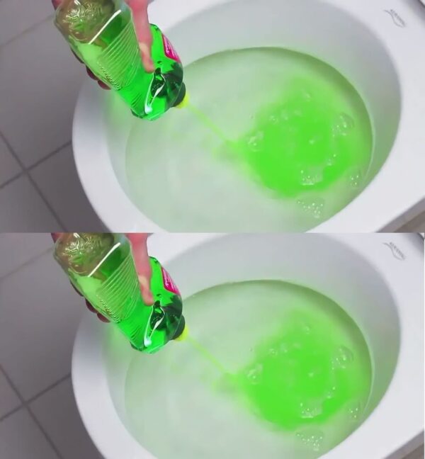 Dish soap in the toilet, a life-changing move – you’ll do it every day