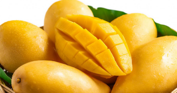 Eat a mango on an empty stomach in the morning. Here’s what happens to your body