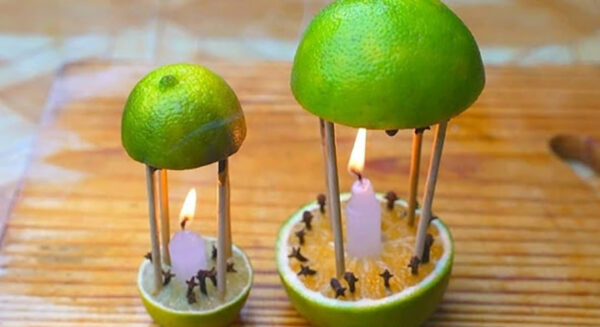 Efficient Tips to Ward Off Flies and Freshen Your Kitchen