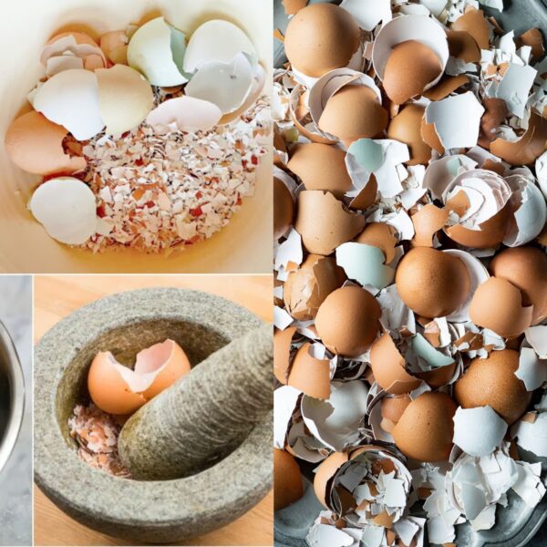 Egg-citing Uses for Eggshells: Don’t Toss Them Just Yet!