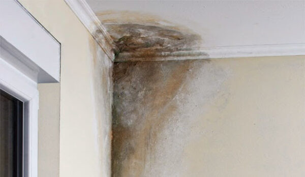 Eliminate Moisture Problems In Your Home with These Easy Tricks!