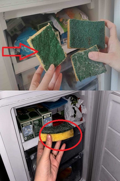 Freeze a Dish Sponge for Unexpected Benefits