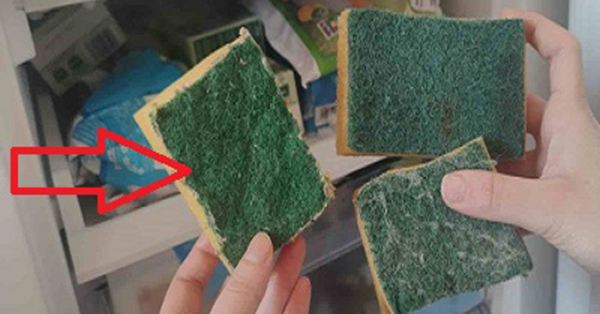 Freeze a Dish Sponge for Unexpected Benefits