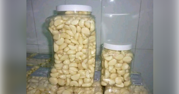 Garlic’s always fresh and intact for 1 year: only cooks know this trick in the kitchen