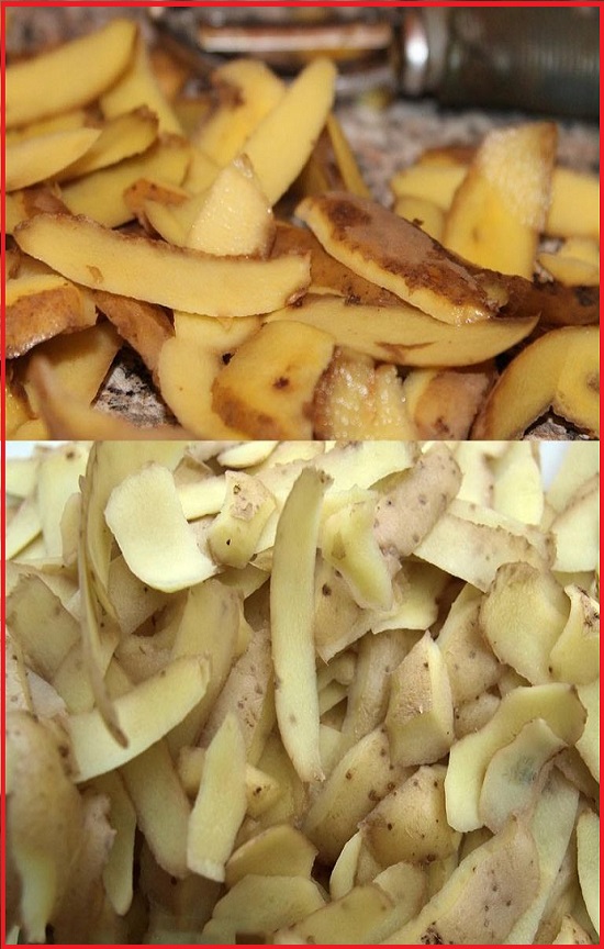 Great reasons to never throw away potato peels