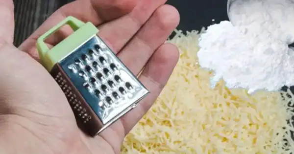 Guard Your Home Against Mice and Roaches with This Unconventional Duo