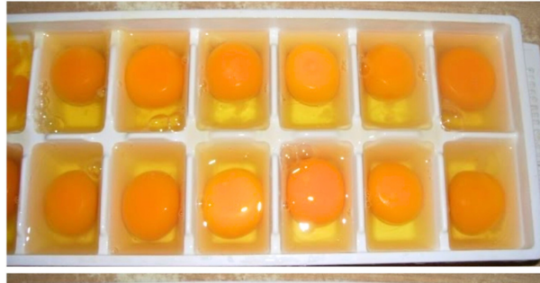 He put several eggs in an ice cube tray. The result left me speechless!