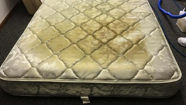 Here’s what’s hidden in your mattress: if you knew you’d always clean it
