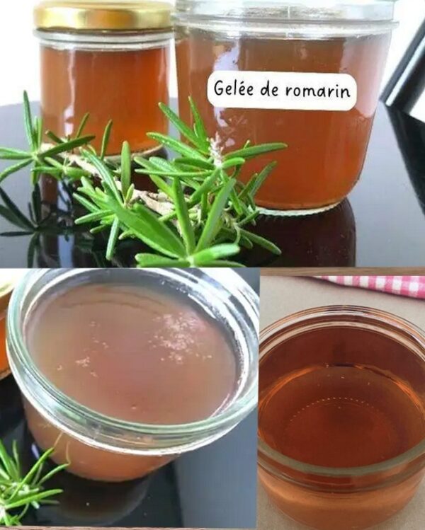 Homemade Rosemary Jelly Recipe with Garden Herbs
