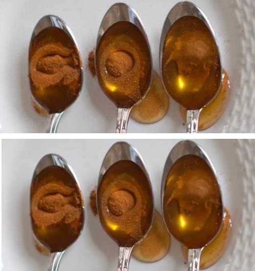 Honey and Cinnamon: A Potent Natural Remedy Revered Across Generations