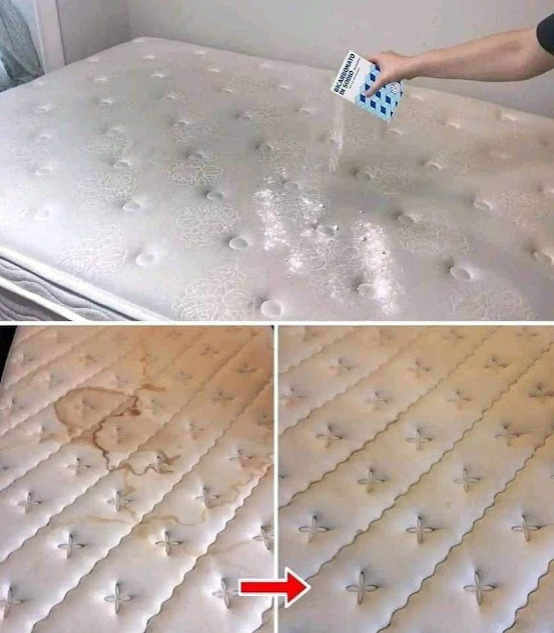 How to Clean and Disinfect Your Mattress Naturally?