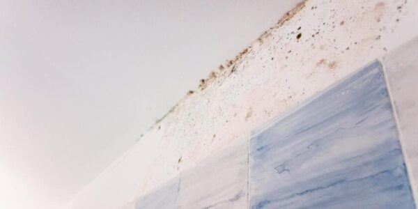 How to decrease humidity in the bathroom: simple solutions