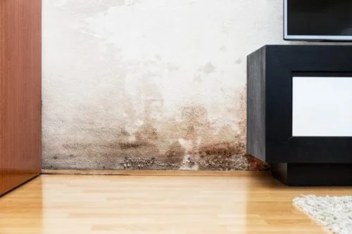 How to repair walls water damaged