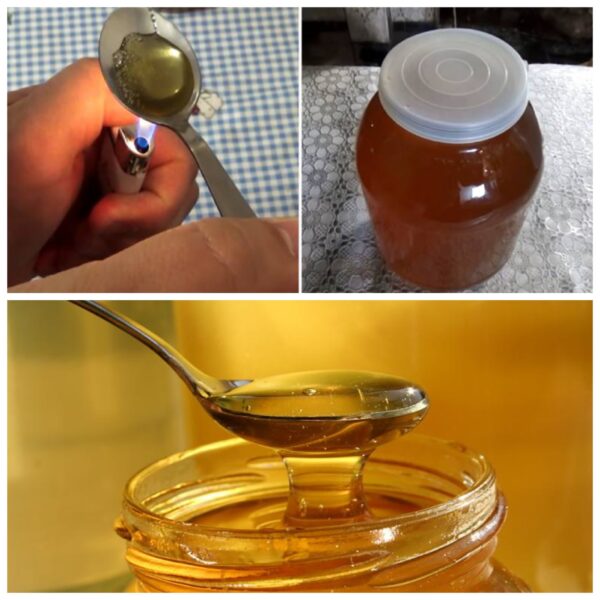 How to tell real honey from fake honey using a single, easy trick – Only polite members say thank you