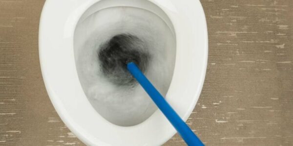 How to unclog a toilet: main methods and step by step