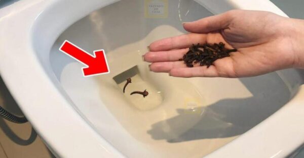 How to use cloves to remove bad smell from the bathroom