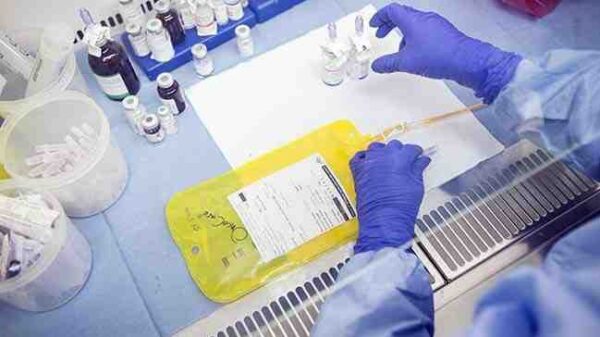 Laboratuvar ortamında ilk kez insan yumurtası geliştirildi