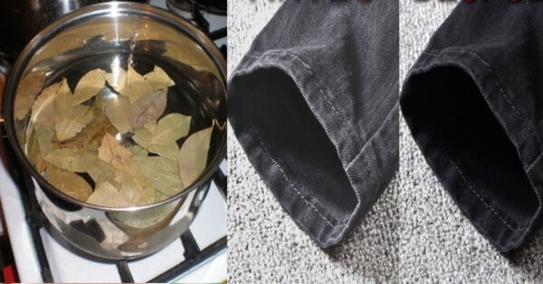 Laurel and baking soda home remedy to recover faded clothes